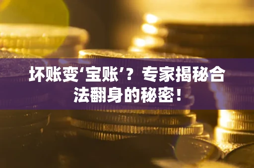 济南坏账变‘宝账’？专家揭秘合法翻身的秘密！