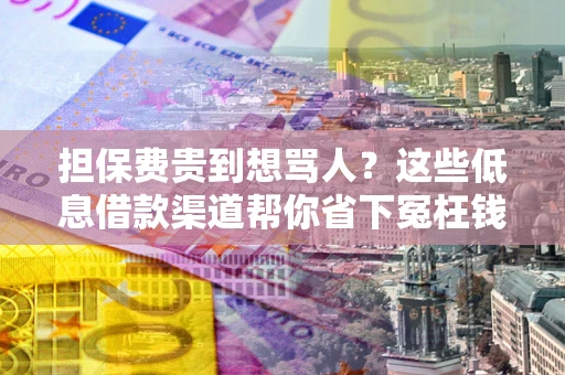 济南担保费贵到想骂人？这些低息借款渠道帮你省下冤枉钱