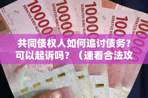 济南共同债权人如何追讨债务？可以起诉吗？（速看合法攻略）