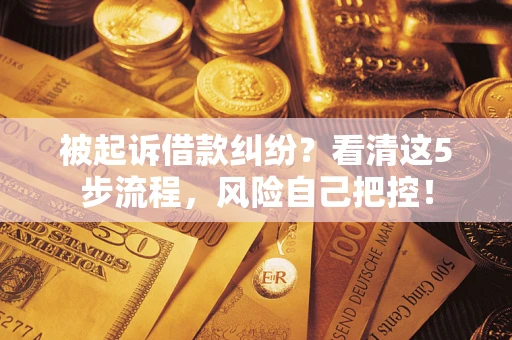济南被起诉借款纠纷？看清这5步流程，风险自己把控！